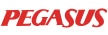 Pegasus Airlines ロゴ
