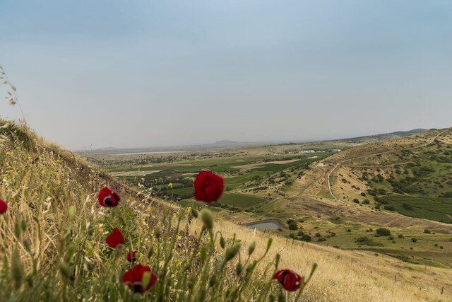 Repubblica araba siriana