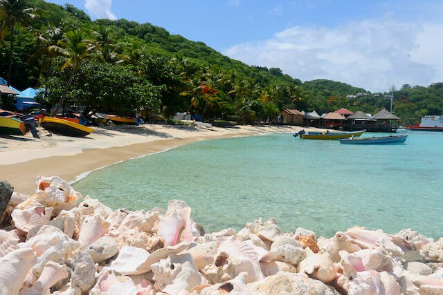Saint Vincent e Grenadine